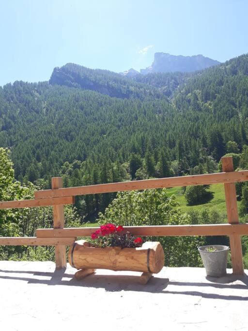 L'Estela Meleze Exteriér fotografie